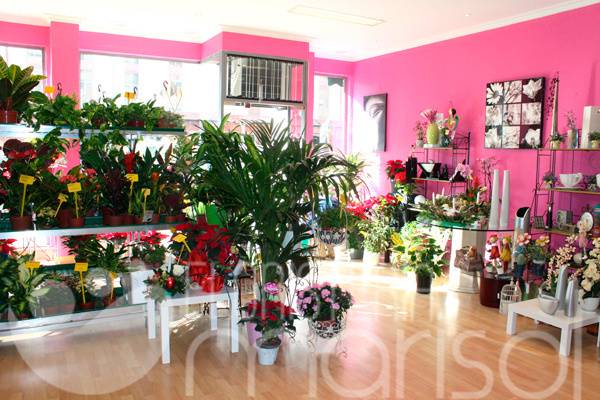 Floristería Marisol