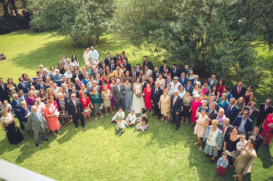 Preboda entre alpacas