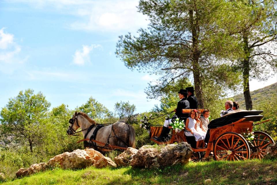 Castell de Rocamora