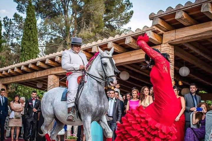 Baile en pérgola