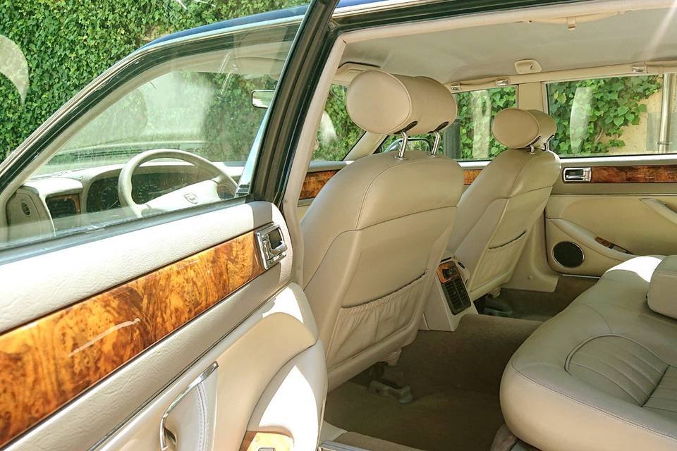 Interior jaguar