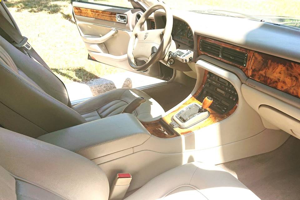 Interior jaguar