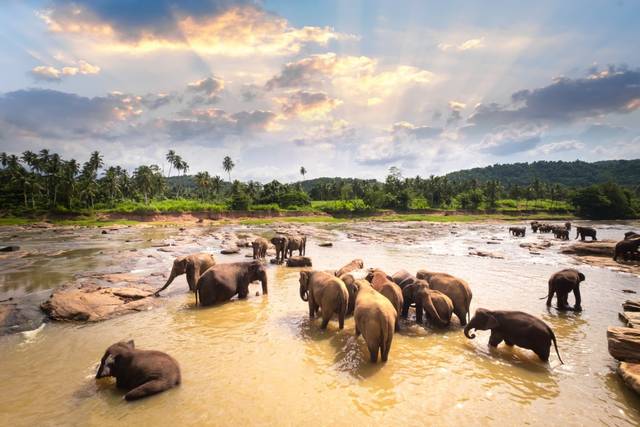 Sri Lanka