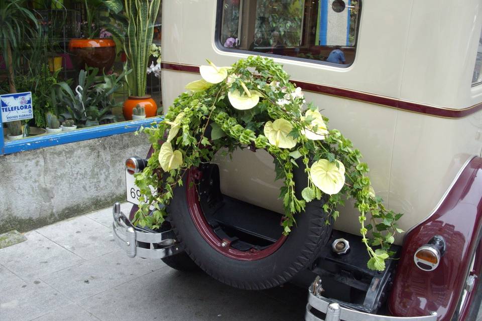 Boda civil en plena naturaleza