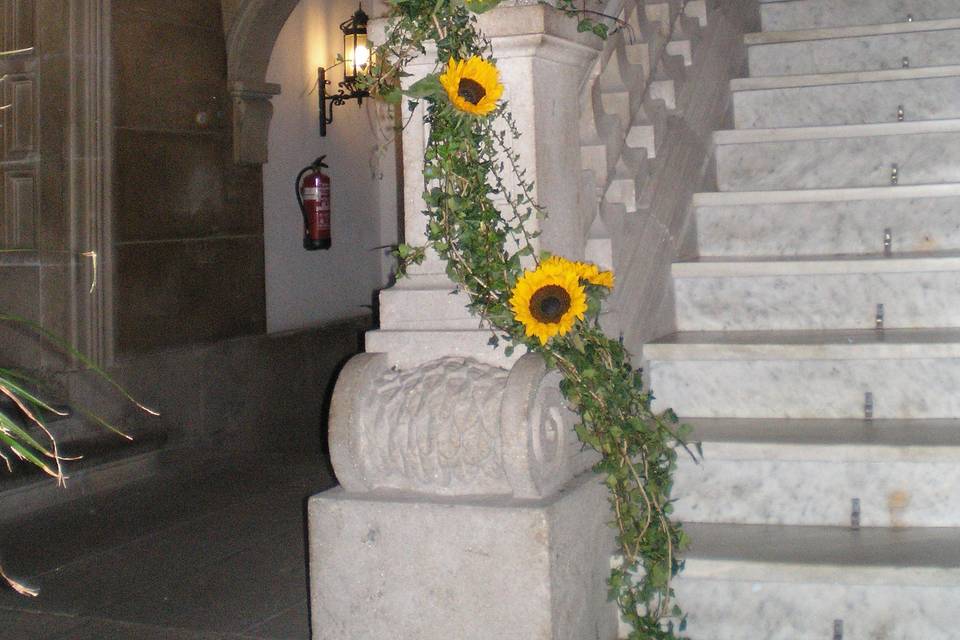 Decoración en el Ayuntamiento de Pontevedra