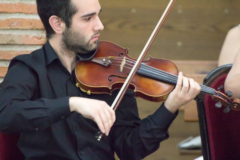 Violín