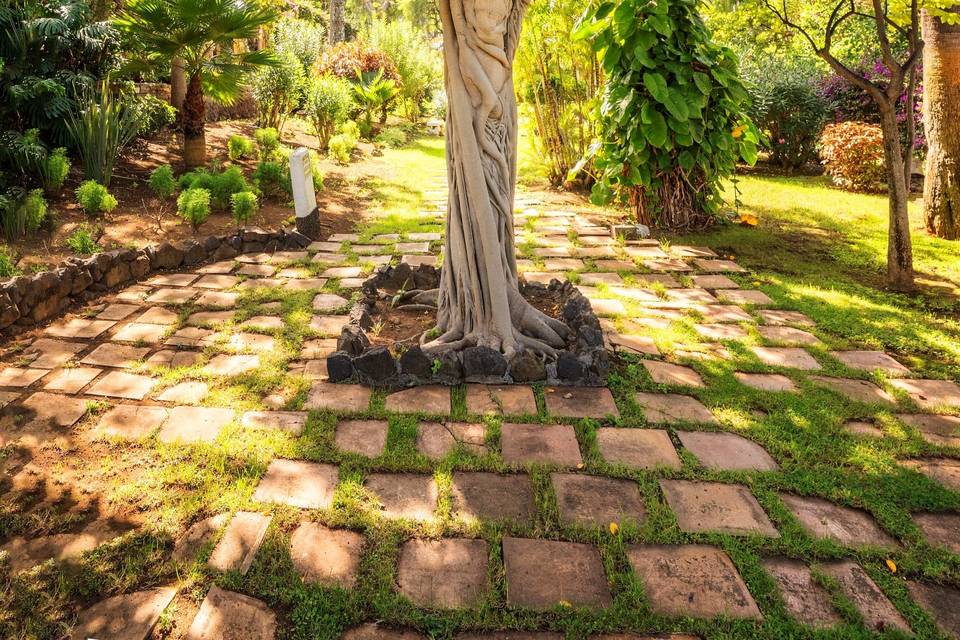 Boda civil arbol de la vida