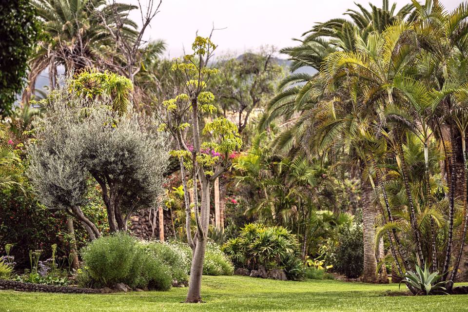 Jardín