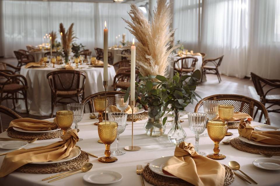 Salón Precise
