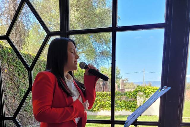 Cantante profesional