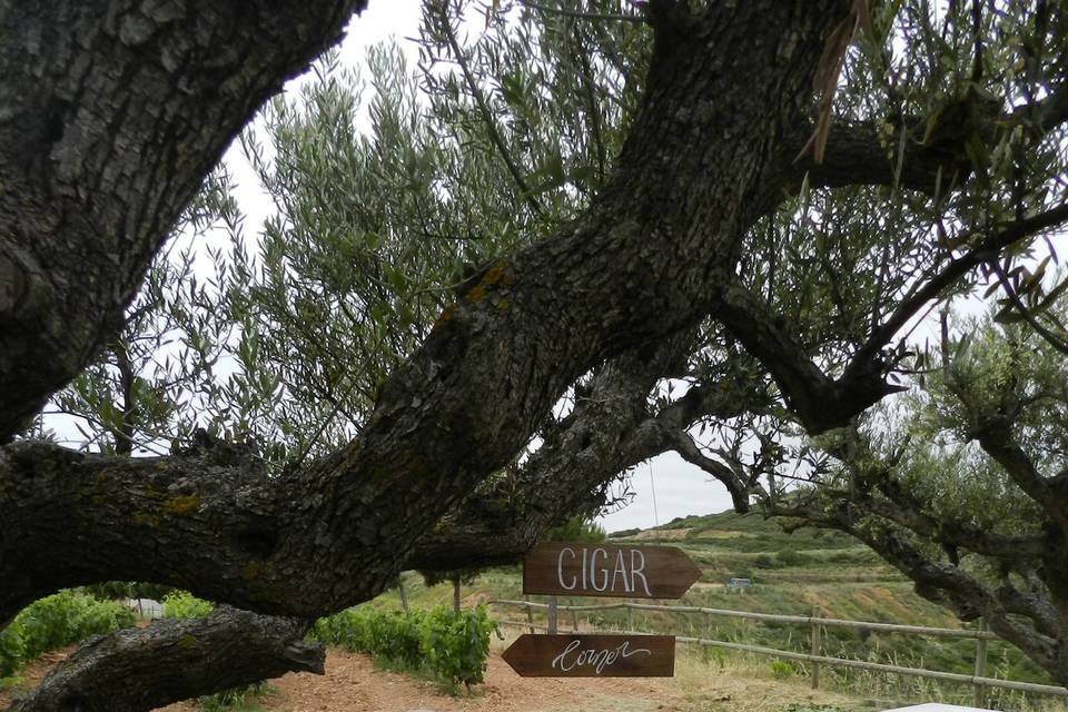 Finca los Arandinos