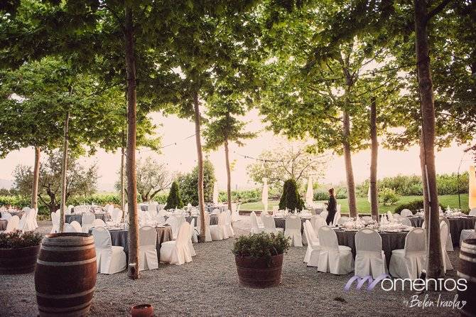 Momentos Bodas y Eventos