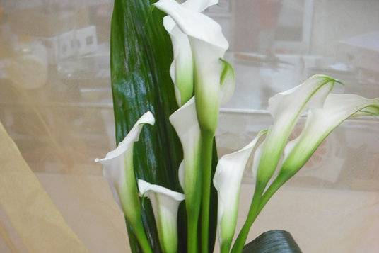 Floristería para boda