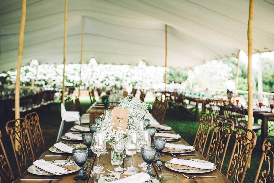 Carpa interior