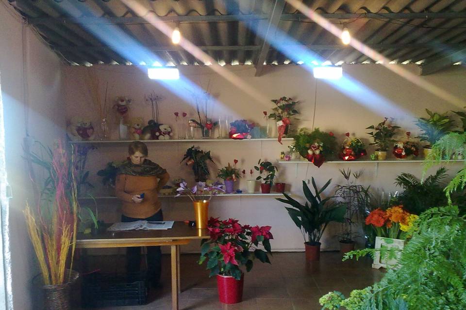 Taller de floristería