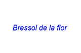 Bressol de la flor