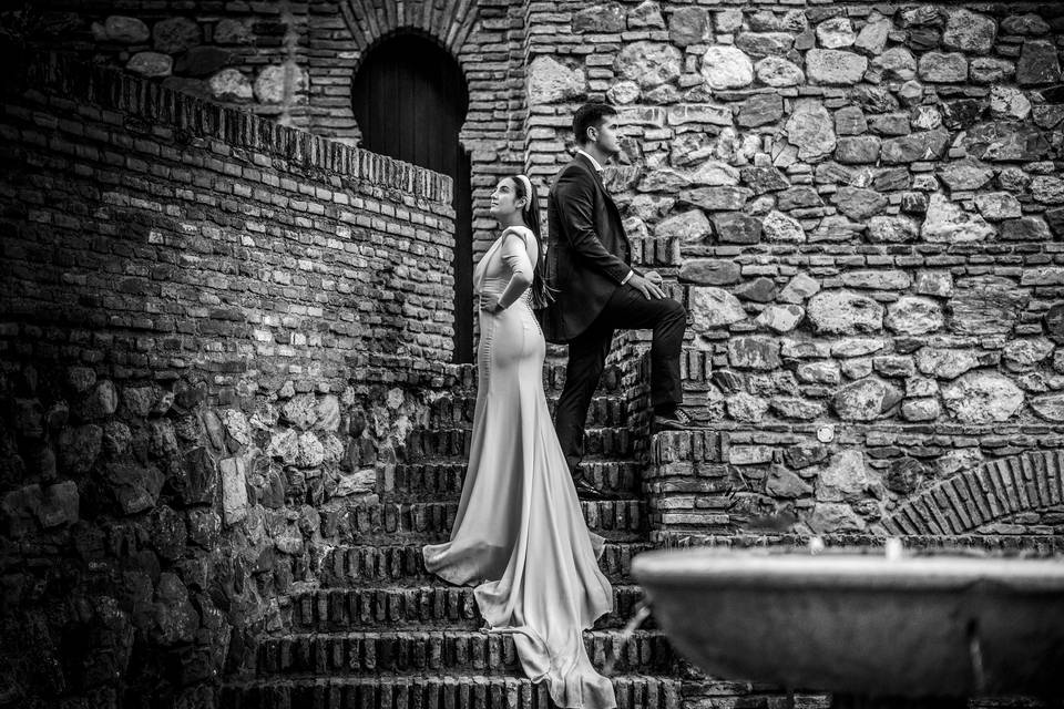 ©Jose Miguel Ferrandiz