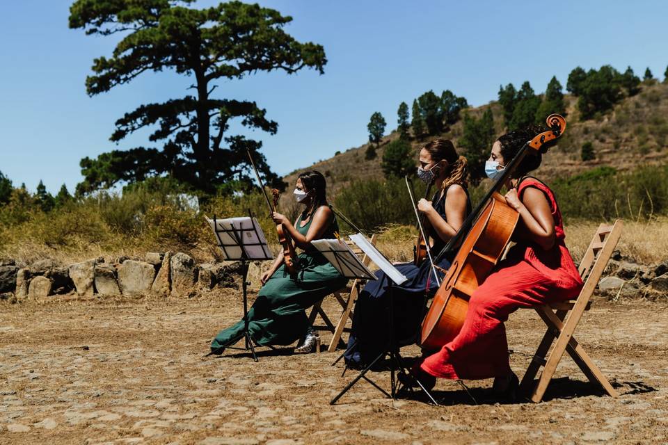 Bodas al aire libre