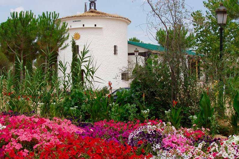 Rodeada de flores y plantas