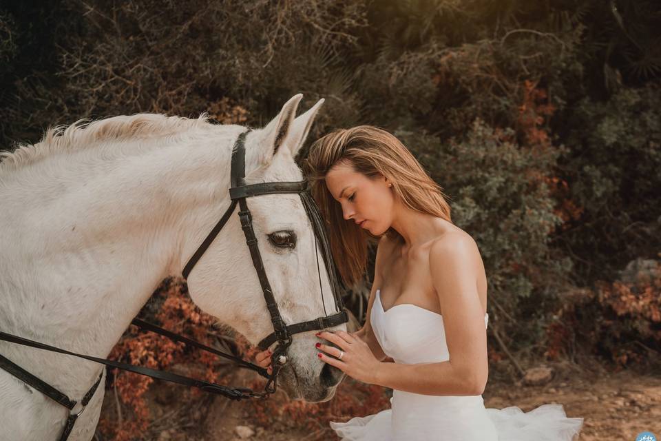 Sofía