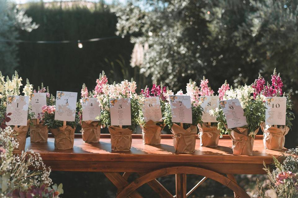 Seating plan vegetal