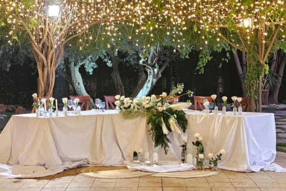 Mesa presidencial jardín verde