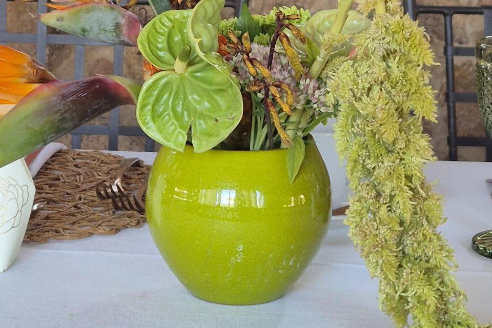 Lujo de detalles