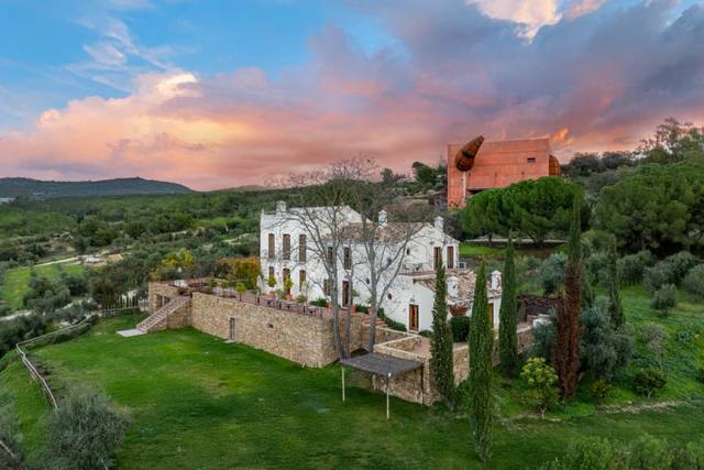 Cortijo LA Organic