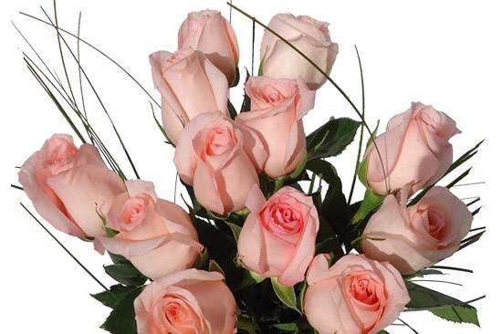 Ramo de rosas