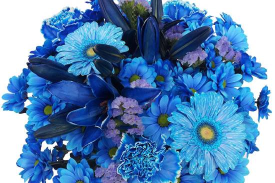 Ramo de Flores Azules