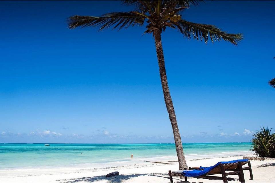 Relax en Zanzibar