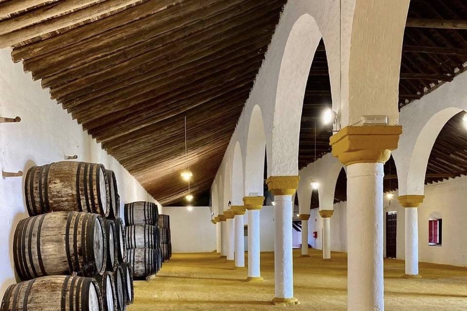 Interior de la bodega