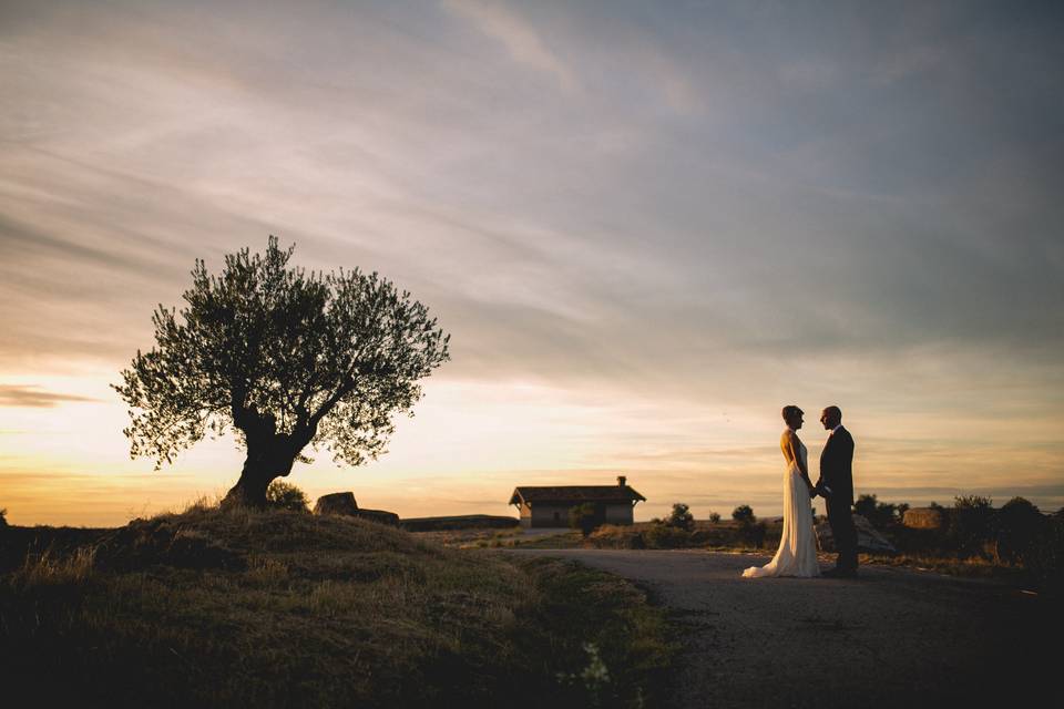 Fotografía de bodas