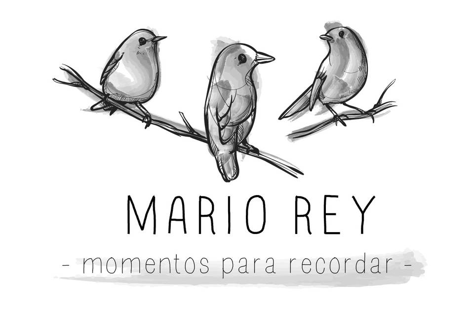 Mario Rey