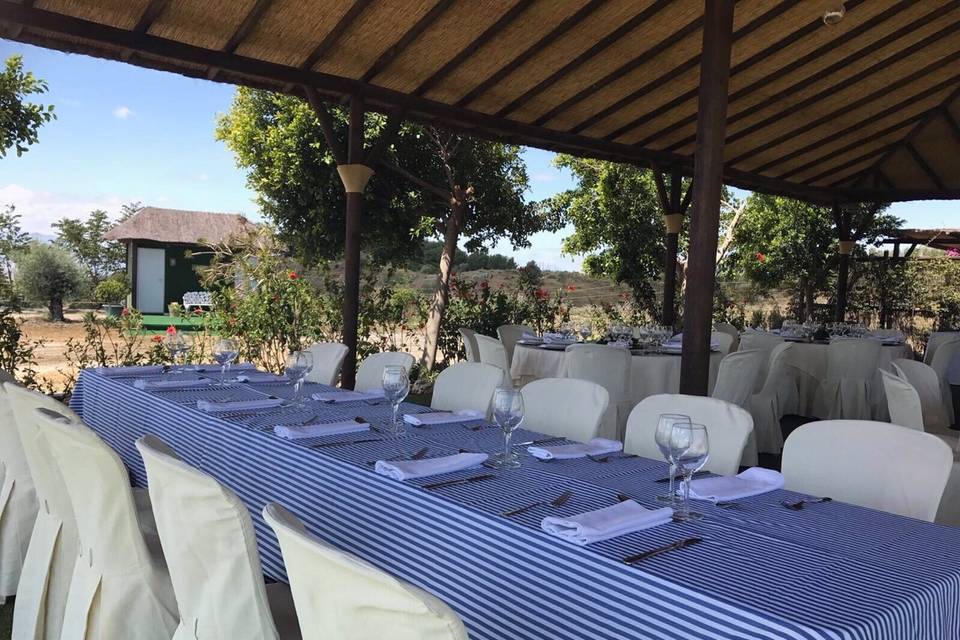 Eventos El Pinar