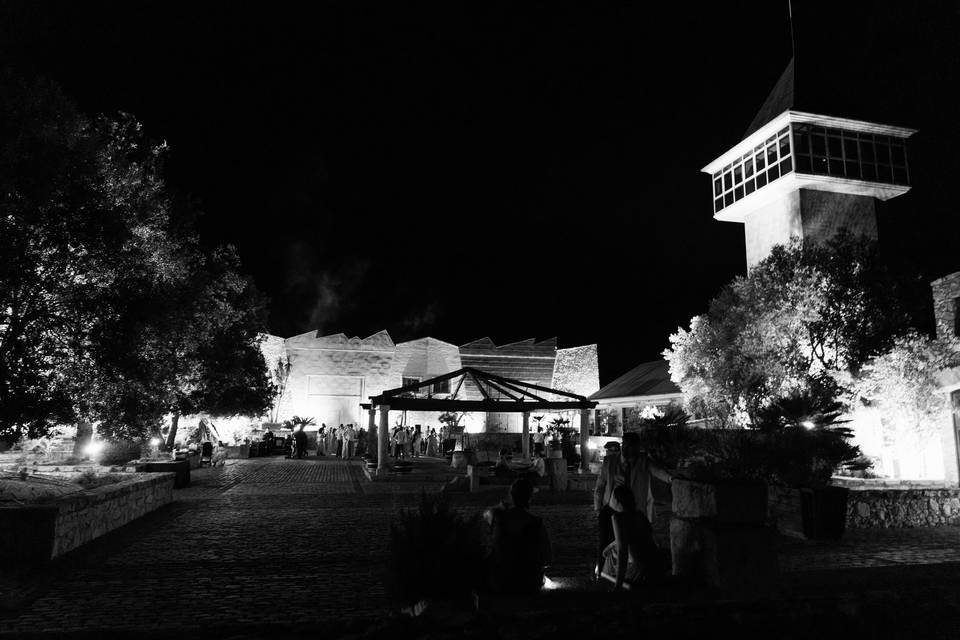 Wedding night