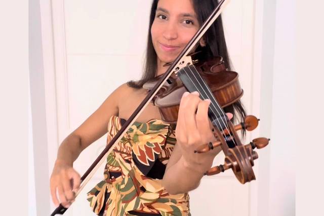 Violín Eléctrico Transparente y Clásico - Violinista