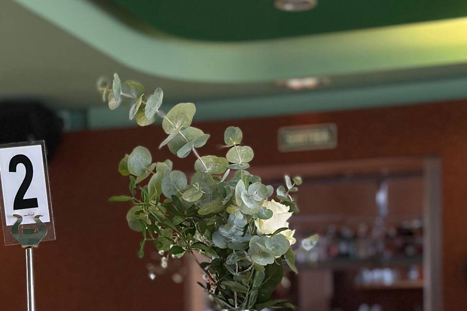 Bodas