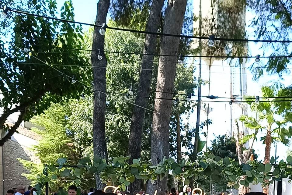 Boda M&J