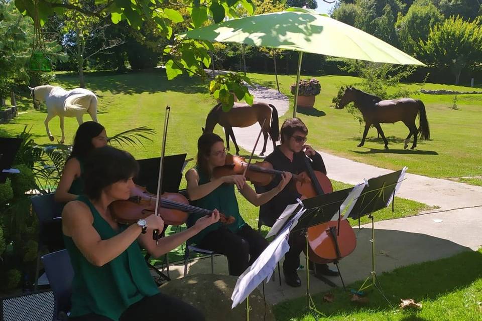 Cuarteto Scherzando