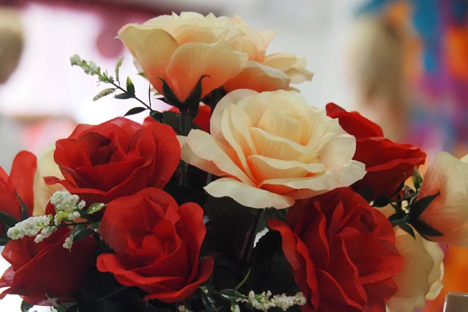The Punto Rosa