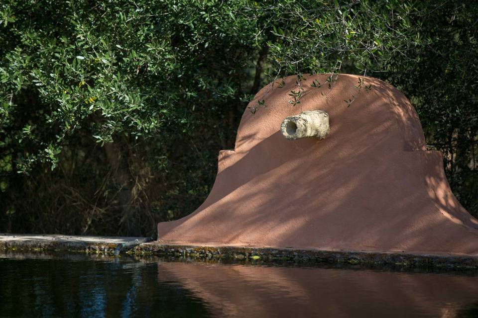 Hacienda Pino La Legua