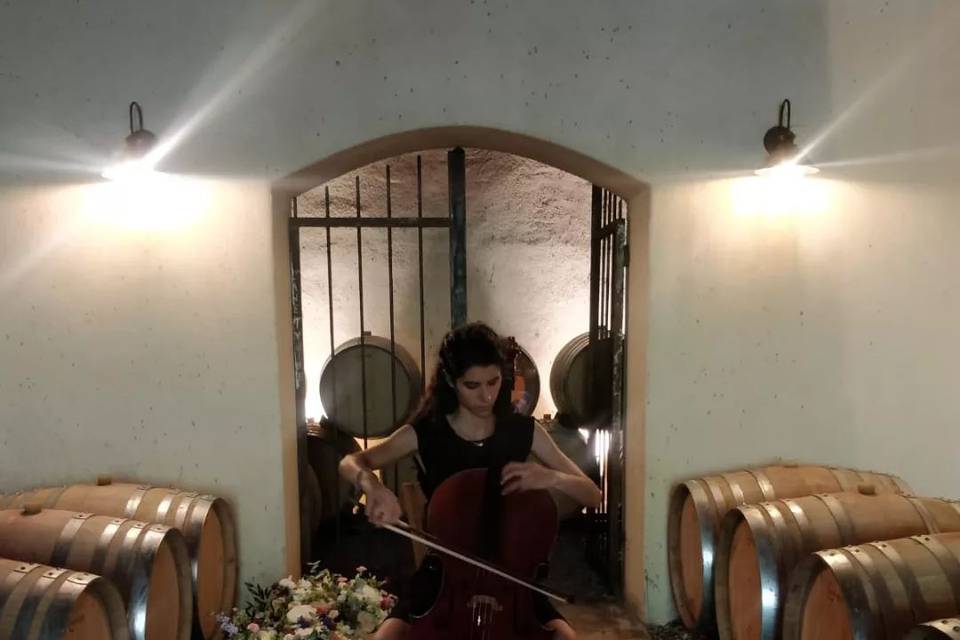 Silvermere Duo