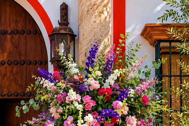 Ramiz Floristas