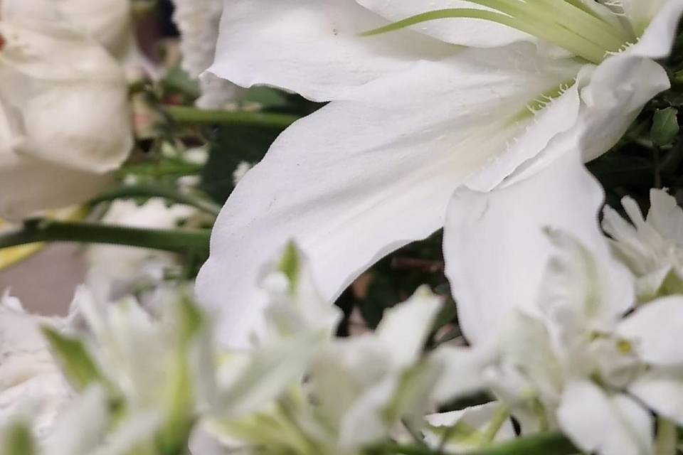 Bodas Ramiz Floristas