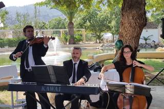 Música en tu boda