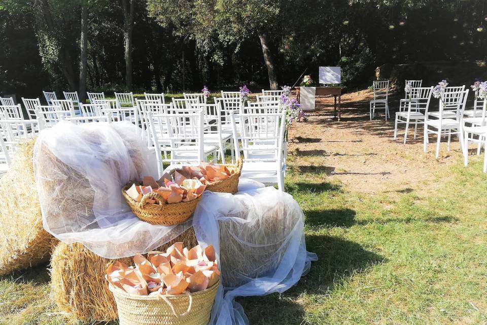 Pétalos Camino de novia