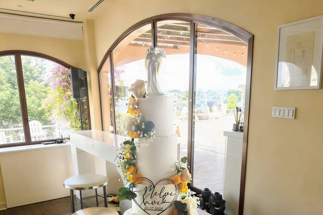 4 Plantas - Elegancia Floral