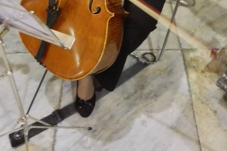 Violonchelista