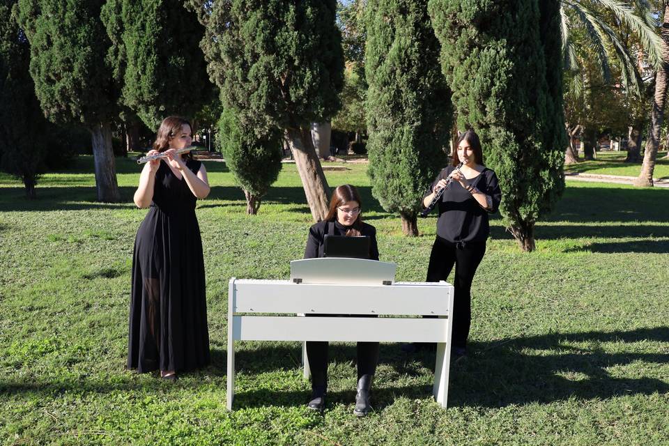 La banda sonora de tus eventos